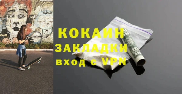 гидра Горняк