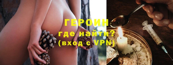 гидра Горняк