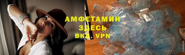 мдпв Вяземский