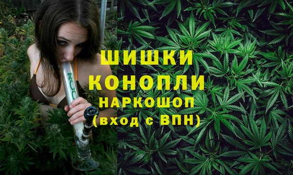 метадон Горнозаводск