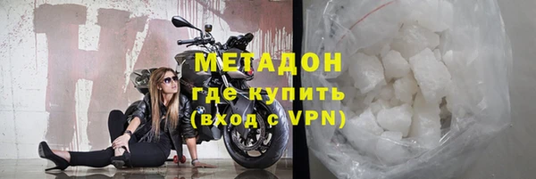 гидра Горняк