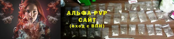гидра Горняк