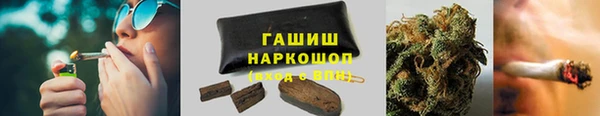 гидра Горняк