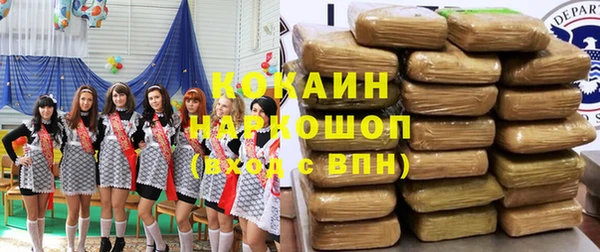 шишки Вязники
