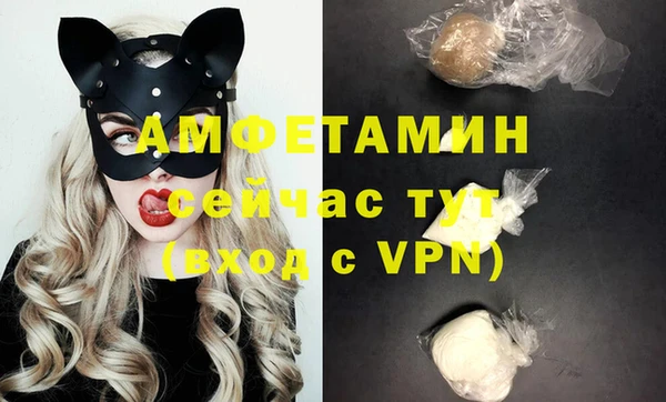 гидра Горняк