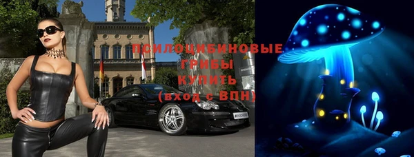 метадон Горнозаводск
