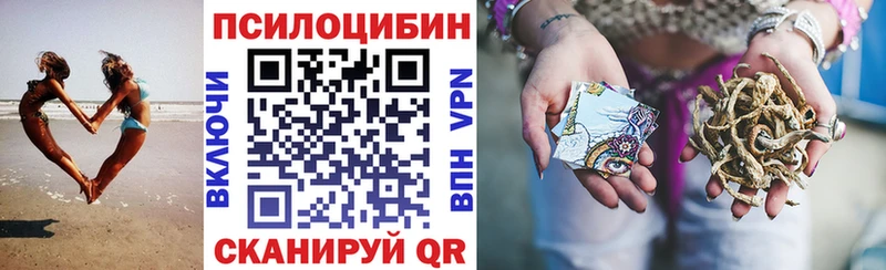 Псилоцибиновые грибы Magic Shrooms купить закладку Мглин